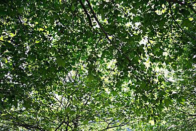 类魂游戏《钢铁之尾》免费拓展“血须”上线 增加新难度模式